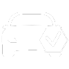 checkup-car